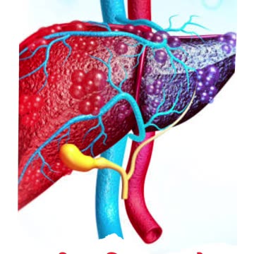 Digestive Disorders | Liver Diseases