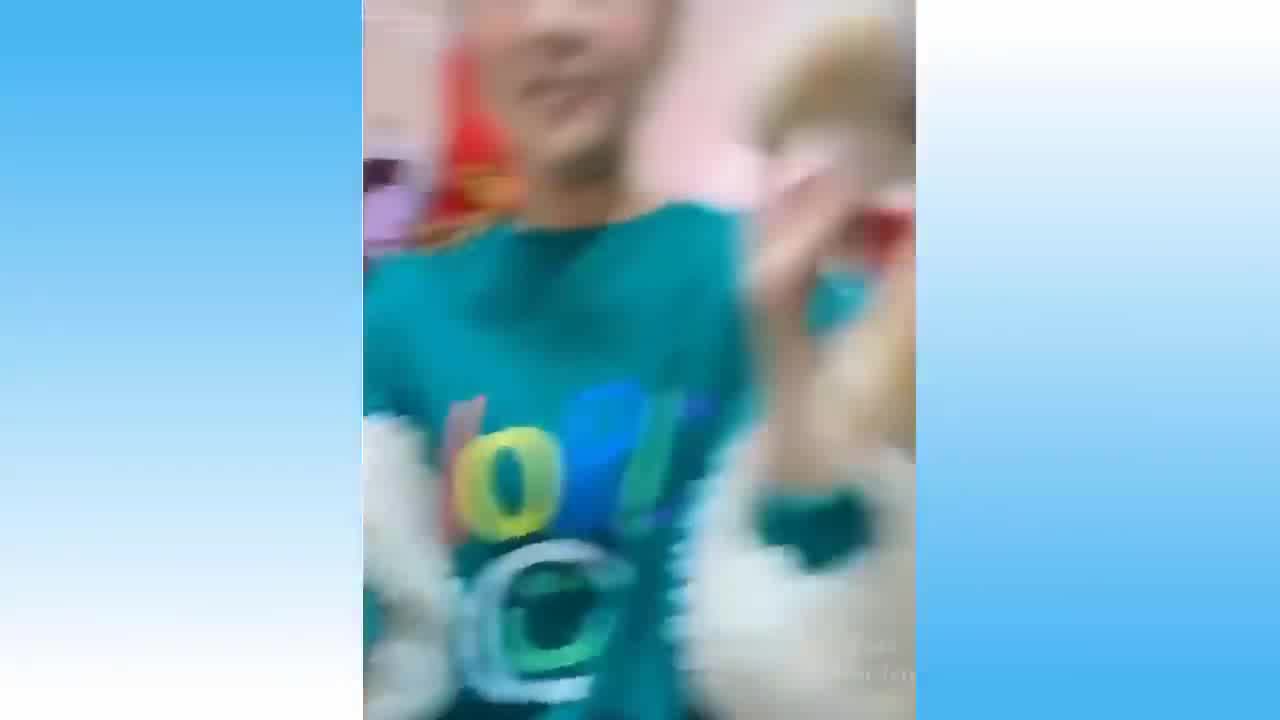 Funny dogs