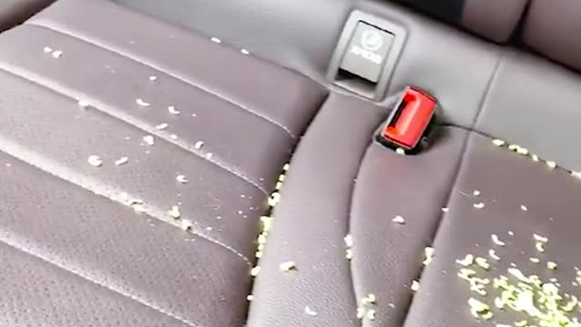 Can you tell me what you have in your car #newyork #goodthing #car #foryou
