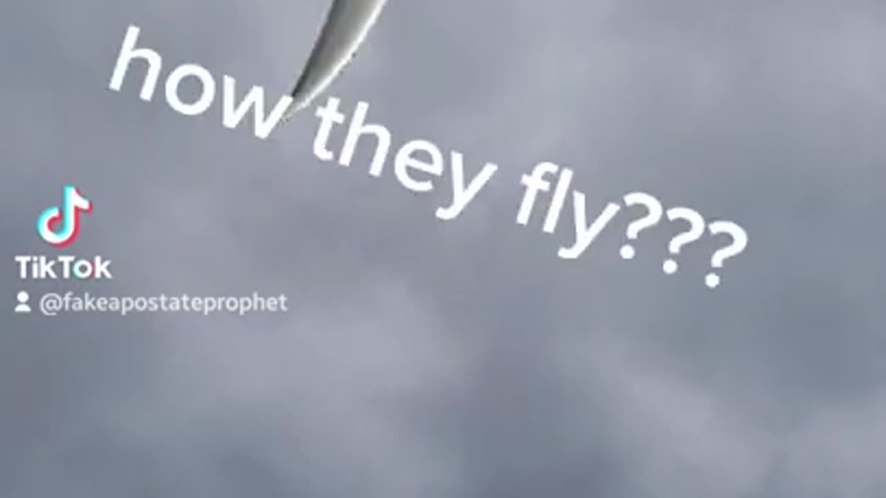 Proof That Islam is True | How Birds Fly