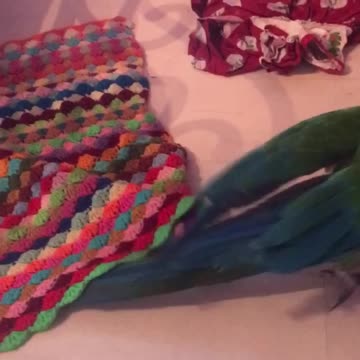 wonder what's moving