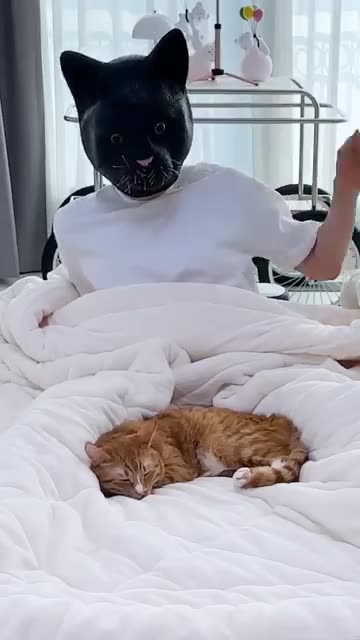 When my cat really freaks out