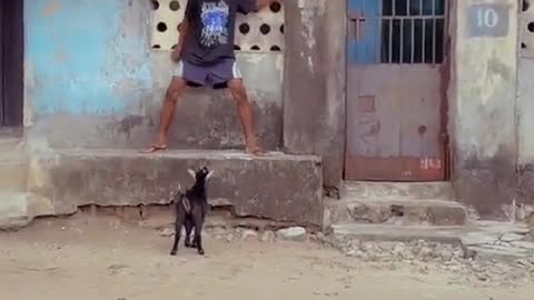 Heart touching goat 🐐♑