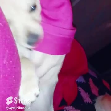 You got a friend in me