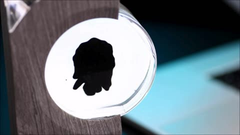 Dancing Ferrofluid Speaker - Technology Gadgets