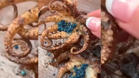 Cooking Octopus