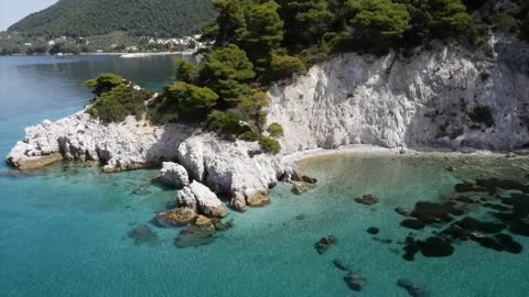 Amazing nature sea water Aerial view #nature #sea #tree