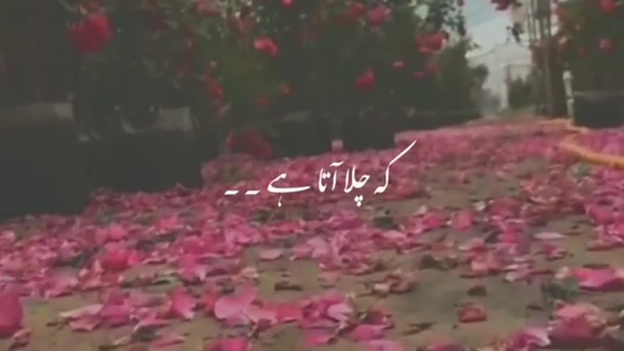 Best urdu/hindi poetry