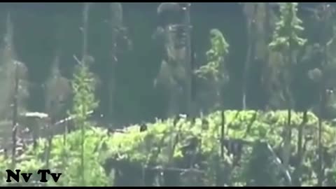 GREAT Bigfoot Footage Captured By Hikers - Fairly Clear (only a little potatoey lol)