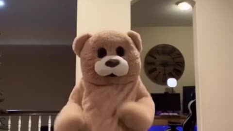 Teddy bear dance