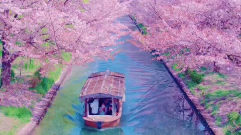 Flower Sea