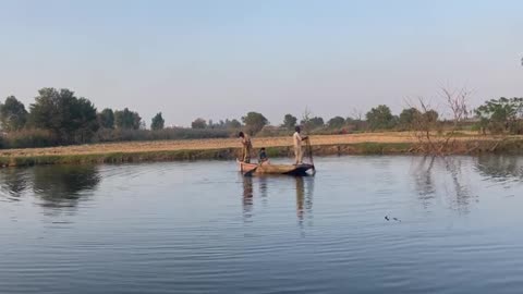 Fish Hunting 🐟