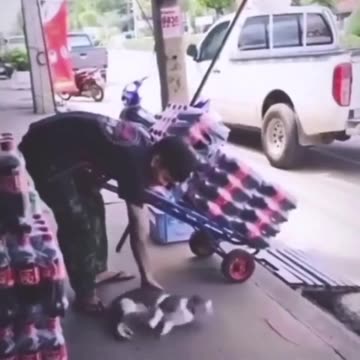 Play with me or you shall not pass 😂😂