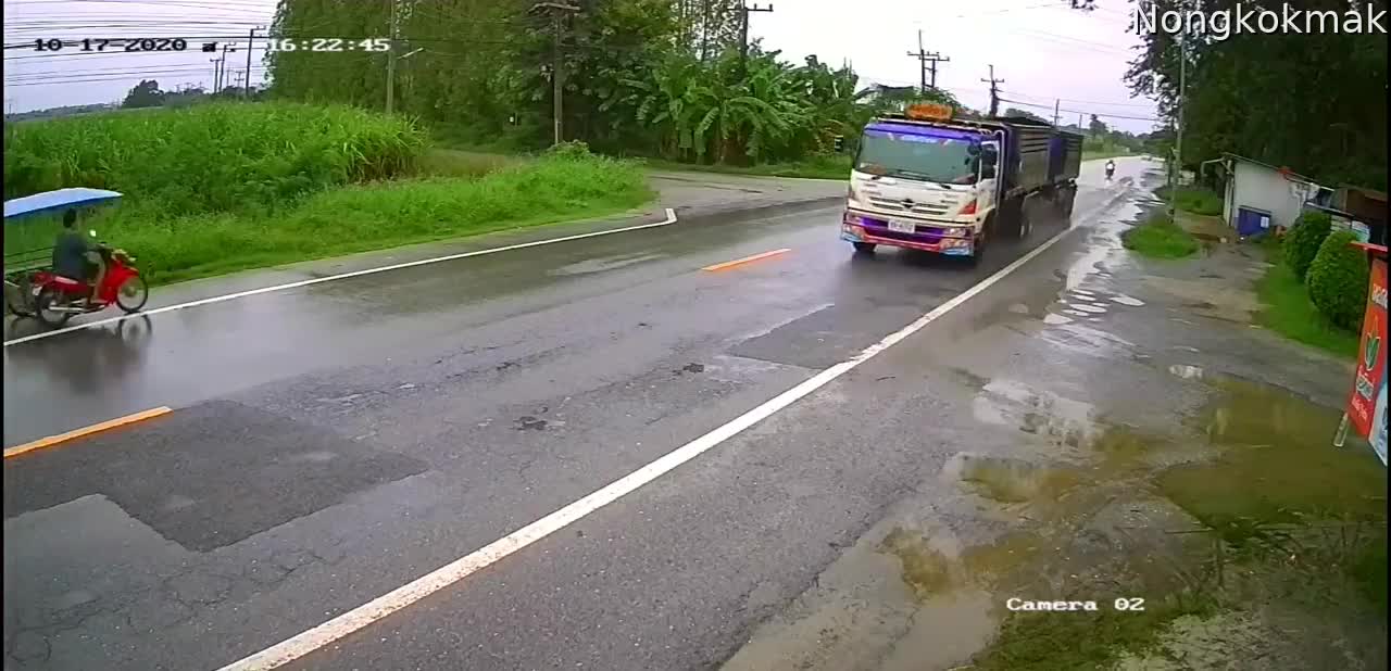 Large Tree Falls Across Road