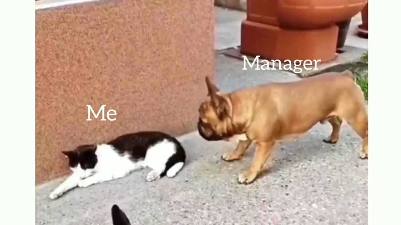 How to manage your manager.