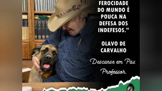 Via Redes
