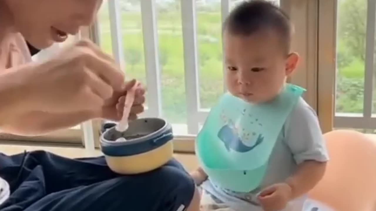 Funny videos