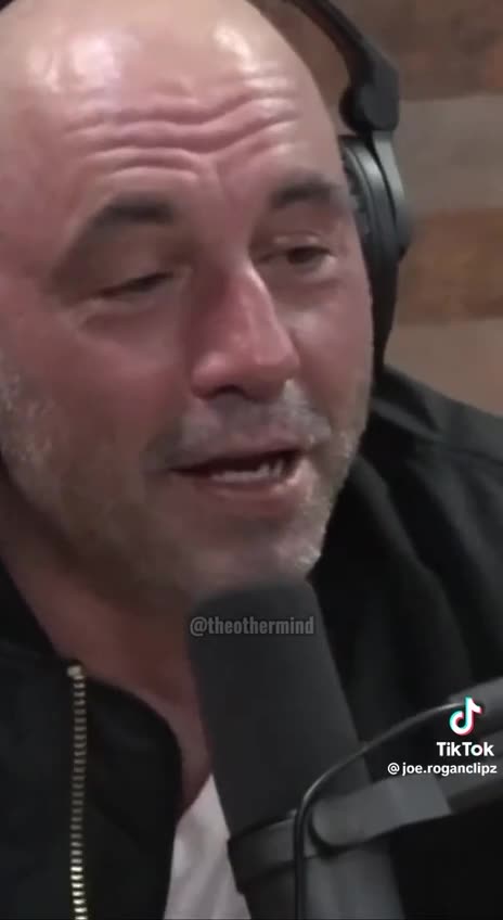 Do you want to hear another conspiracy theory?