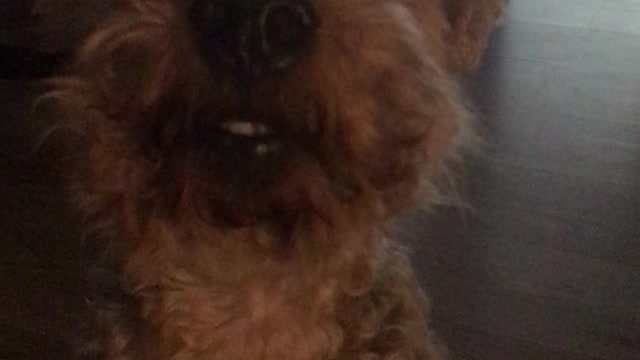 “Keep Your Eyes on Elijah”