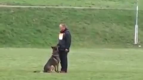 German shepherd hard training unbelievable🤯😱