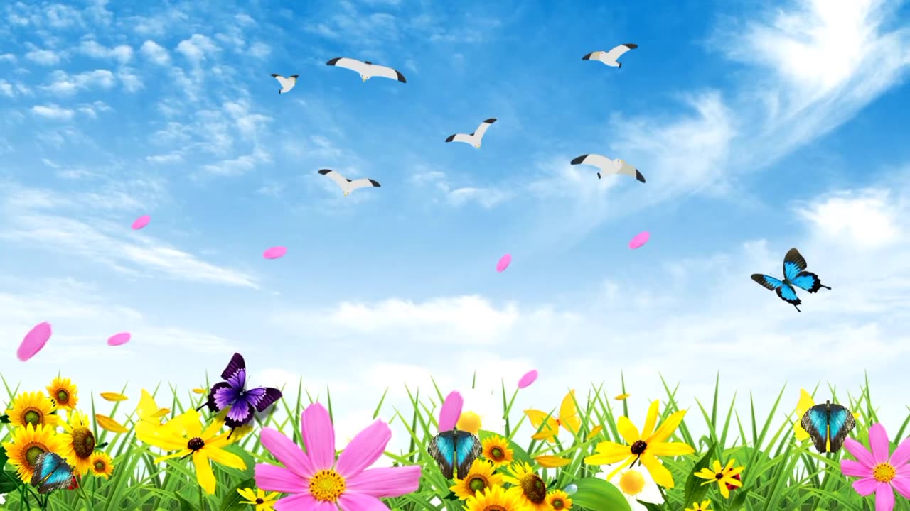 NATURE BACKGROUND CARTOON ! ANIMATED BUTTERFLIES BACKGROUND CARTOON !!!!