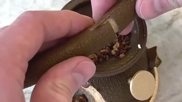 The Lantern Technical creation around Pecan nuts