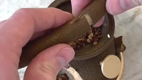 The Lantern Technical creation around Pecan nuts