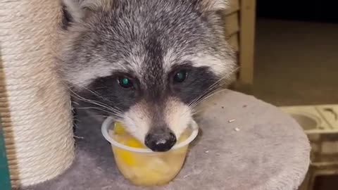 Yum!