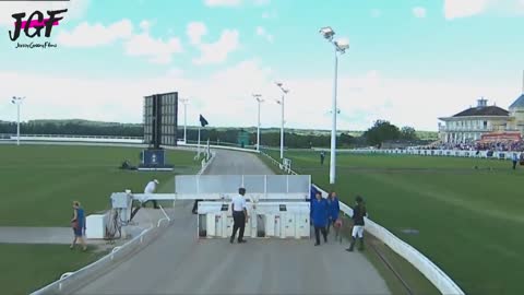 Greyhound dog racing - Track race 480m