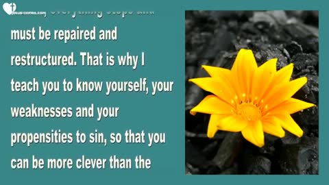 Self-Knowledge, Wisdom & Willingness ❤️ Love Letter from Jesus November 14, 2017