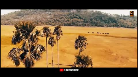 Tiger-Nageswara R, Gayetri Bhardwaj - Vamsee - Universal Media_Cut
