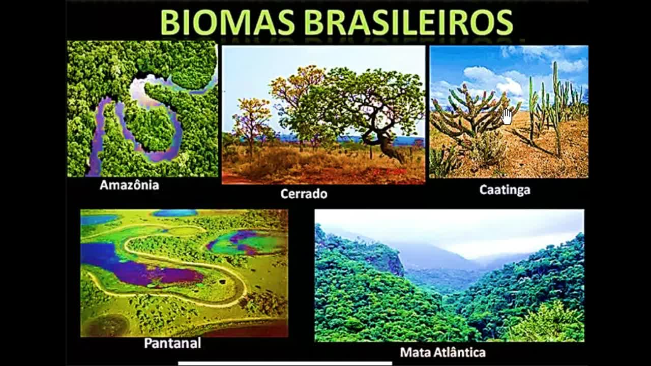 Biomas Brasileiros - MinhaEscolaWeb