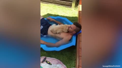 Most Funny And Cute Moments Dog In Love With Their Human ❤️