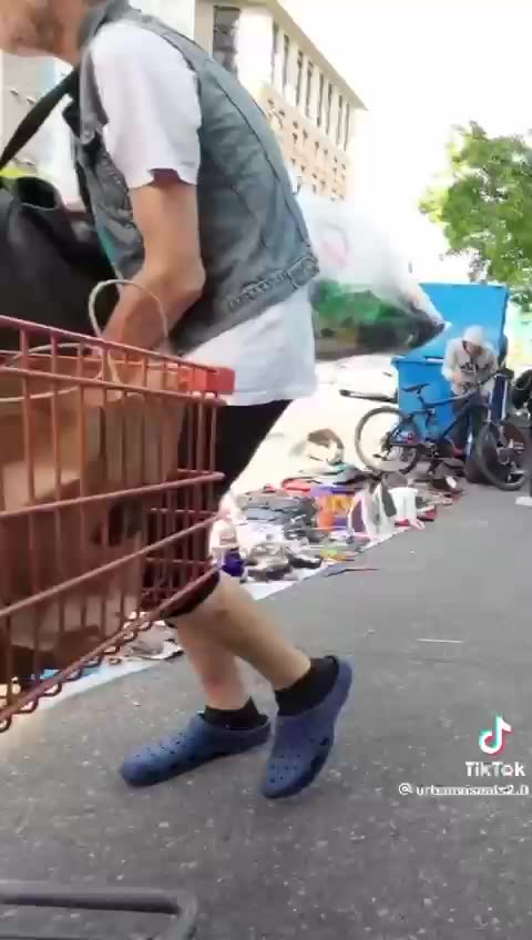 NWO is destroying civilazation