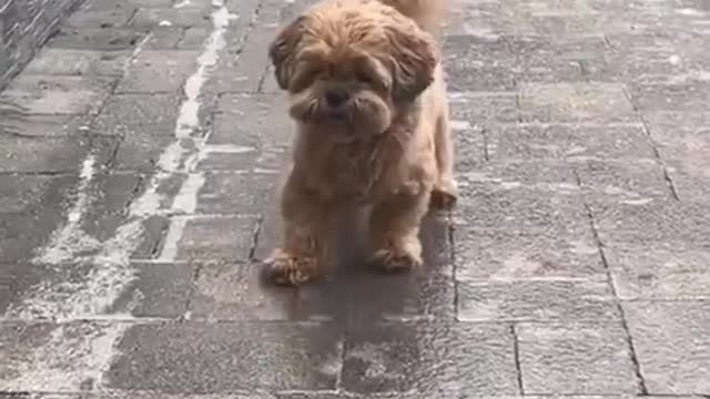 slippery