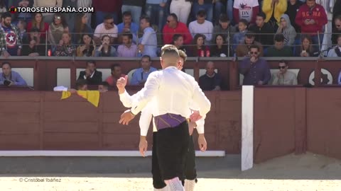 ✅ FINAL DEL CAMPEONATO DE ESPAÑA DE RECORTADORES CON TOROS - MADRID