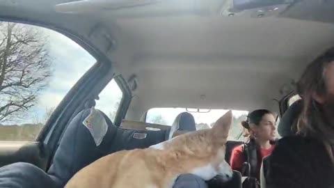 2023-03-17 (1) - je prends une auto-stoppeuse - Twitch Decheterie