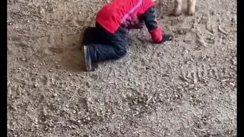 Crazy dad and son moment