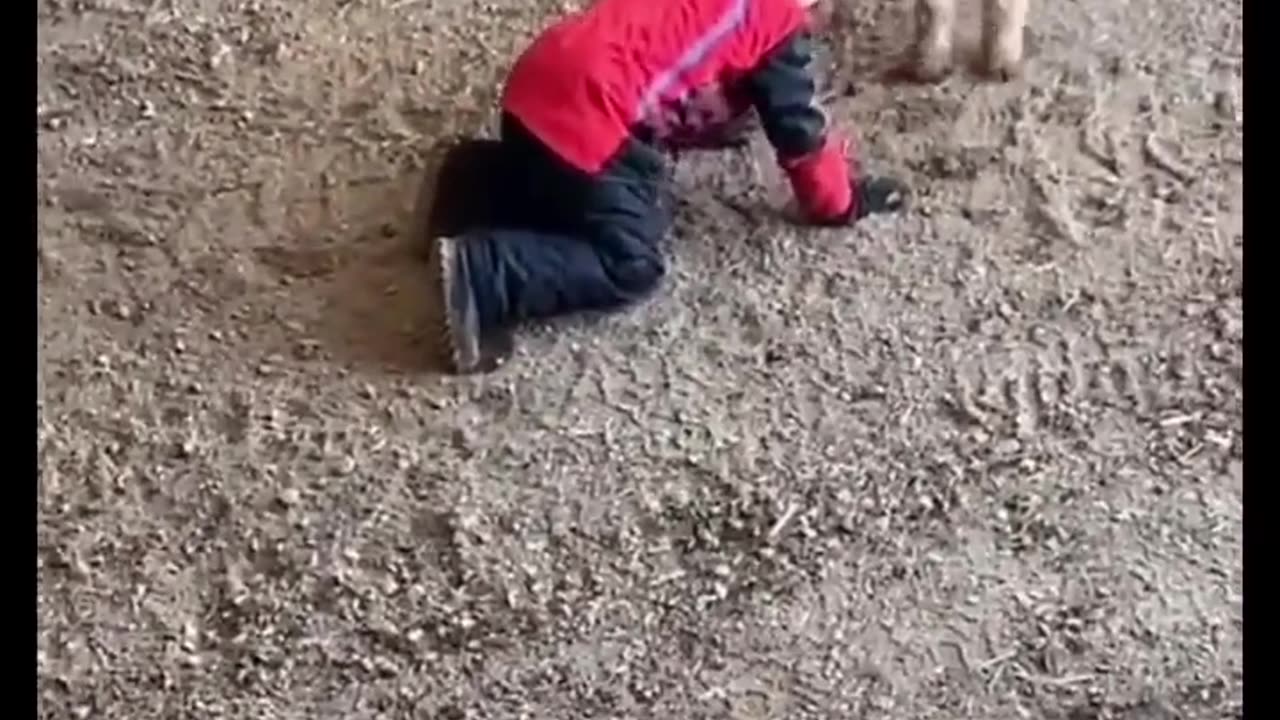 Crazy dad and son moment