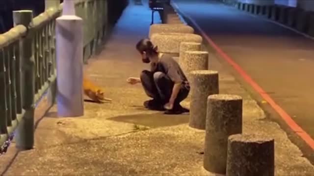 Big Coub Compilation Videos