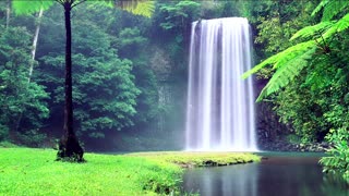 Nature Waterfall Tropical Rain Storm