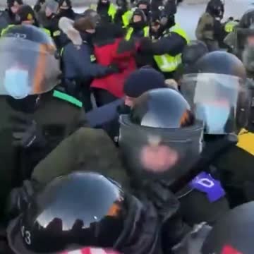 Some unnecessary equine trampling of Grandma