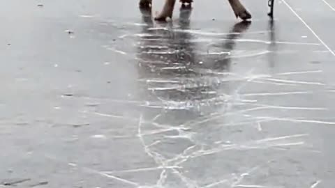 Pig on Ice!