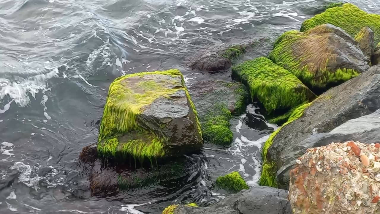 Calm sea waves hitting the beach on the rocks