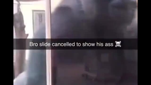 Monkey does slide 🤣🤣