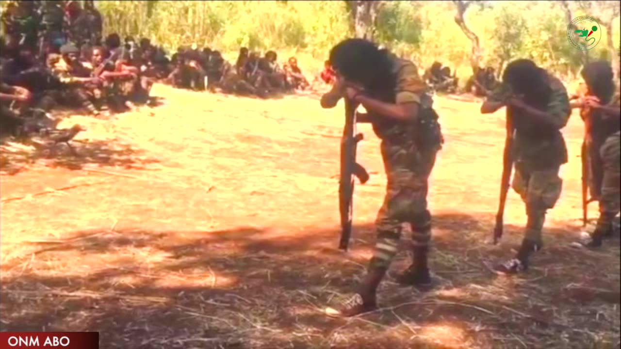 Qophii Arraata Biyyoolessa Oromiyaa Sadaasa 6, 2023