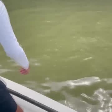 Was it attacked? or is it fake?😱😱😱😱