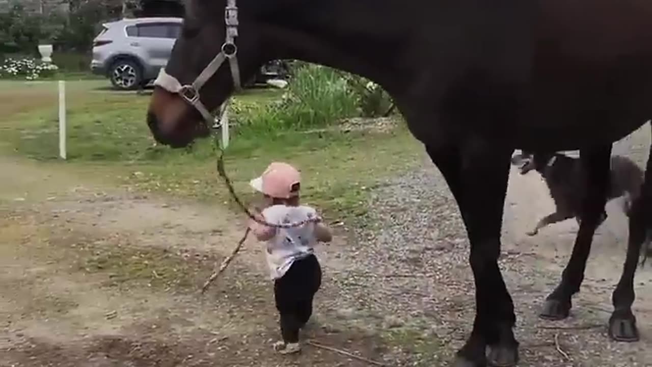 Little girl lead horse😍🥰