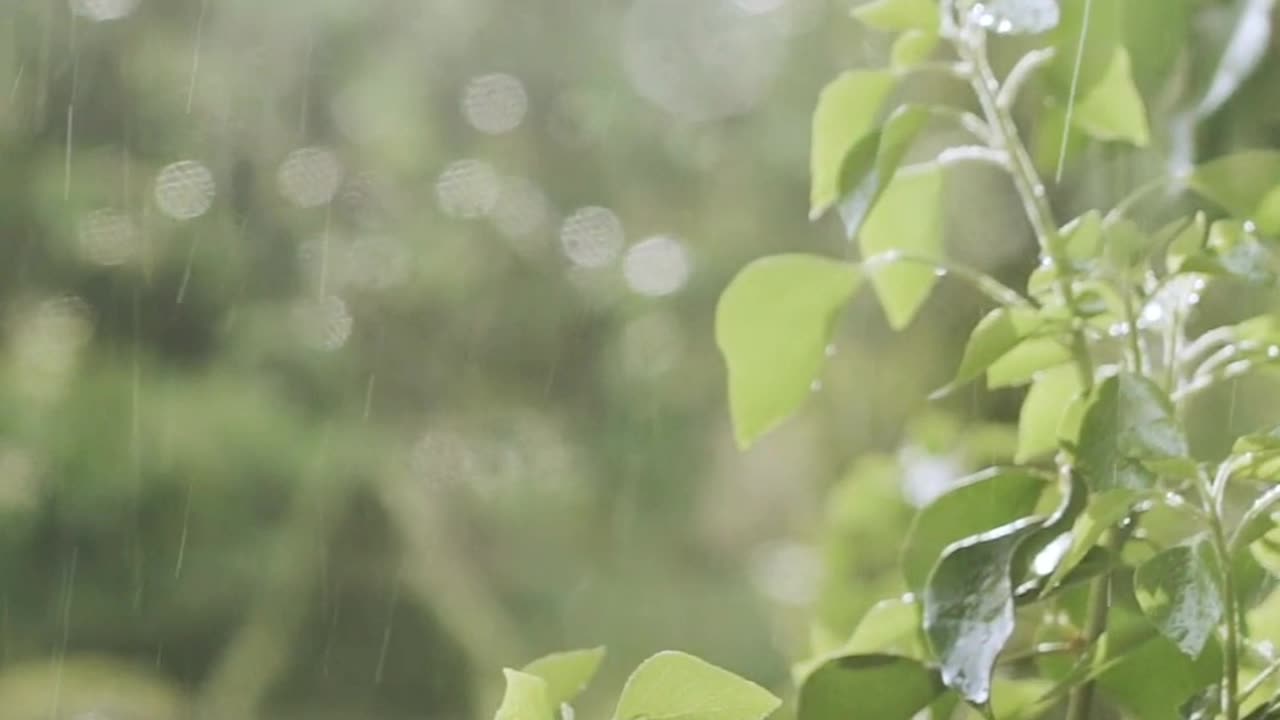 Is love, then so simple? | Rhyme | Love | Rain Mood | Nature