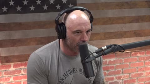 Joe Rogan Experience #1391- Tulsi Gabbard & Jocko Willink